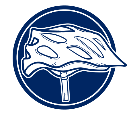 Cycle helmet icon