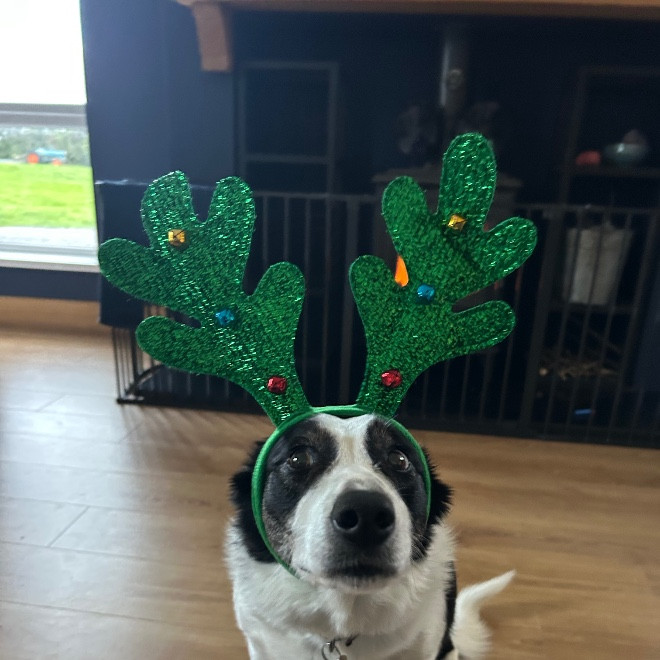 Tim and Jen’s Reindeer Run